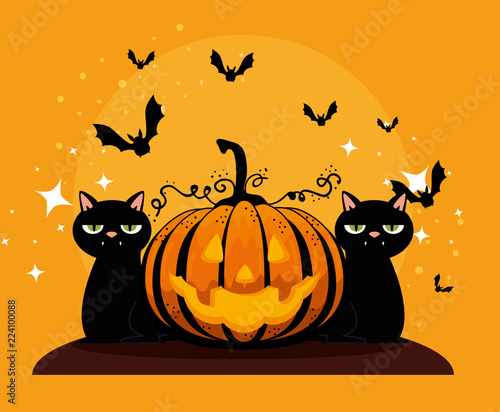halloween card with pumpkin