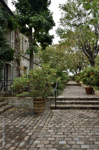 Path