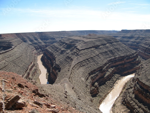 Gooseneck