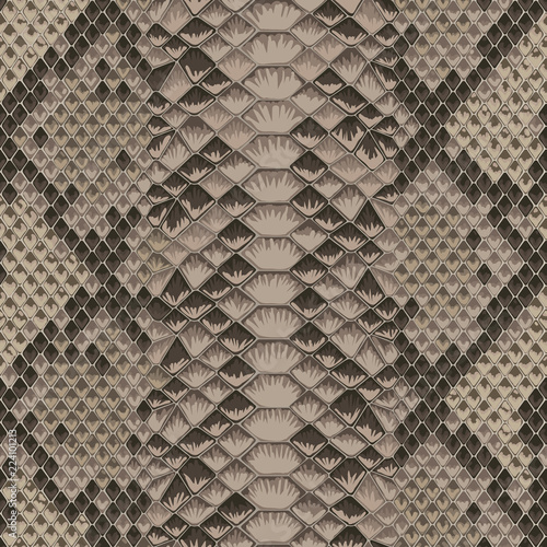 Snake Skin Colorful Animal Beige Seamless Pattern