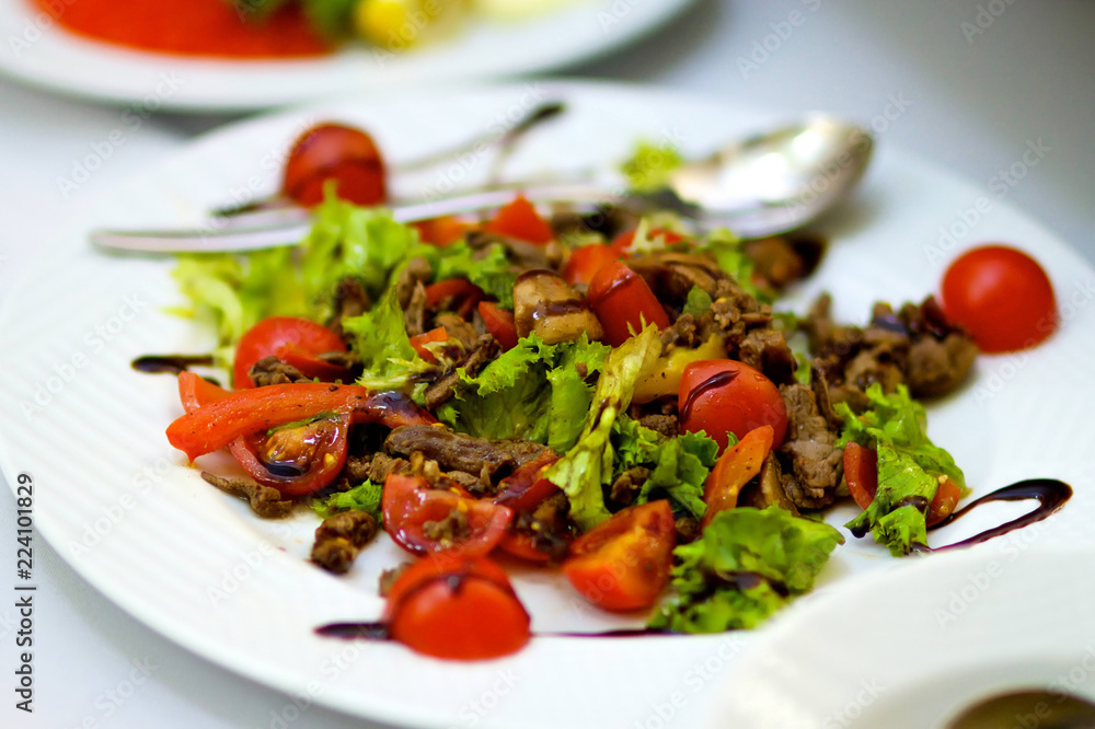 Salad from different kinds of vegetables and meat Salad from different kinds of vegetables and meat