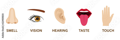 Five human senses icons set. Cartoon design nose, eye, hand, ear and mouth. Vector illustration.