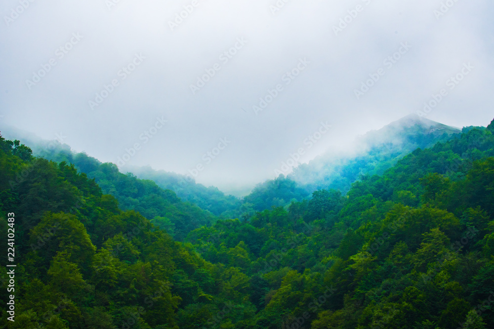 fog over the forest in the highlands. small Caucasus mountains