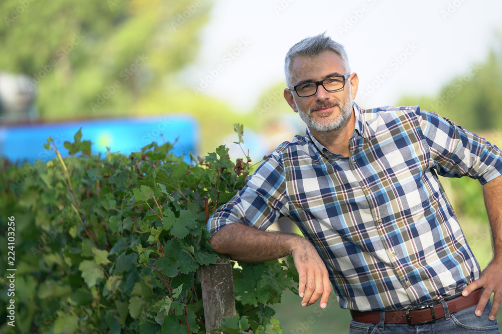 Fototapeta premium Winemaker standing in vineyard