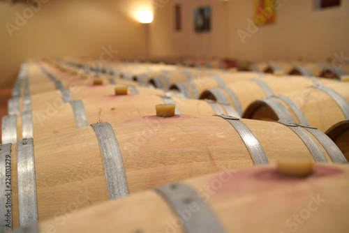 View of wine barrels in winery