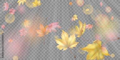 Flying Autumn Leaves