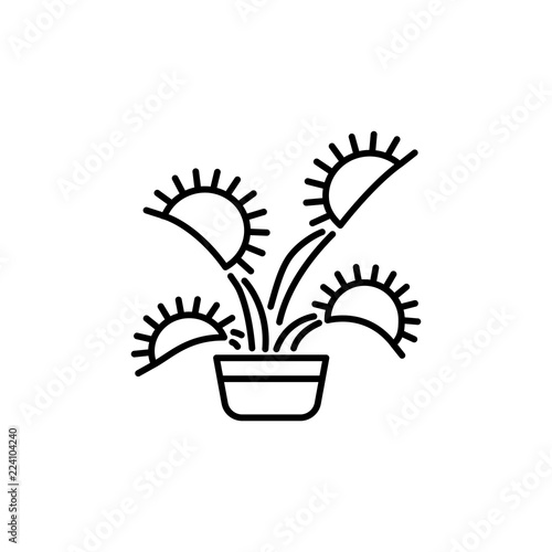 Black & white vector illustration of insect eating plant with leaves in pot. Line icon of decorative home plant in container. Isolated on white background.