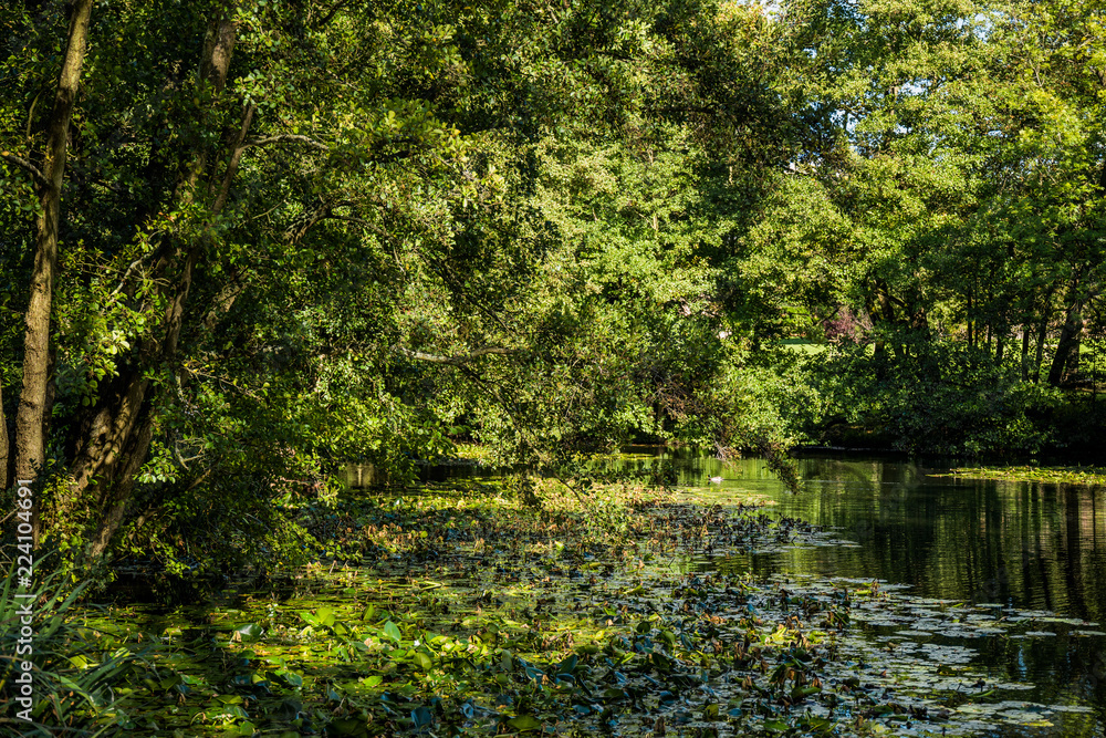 forest trail baddesley clinton stately home forest trail baddesley clinton stately home
