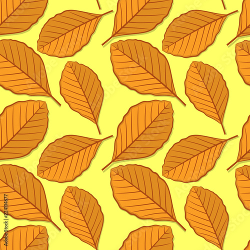 Seamless pattern with beech autumn leaves. Vector illustration.