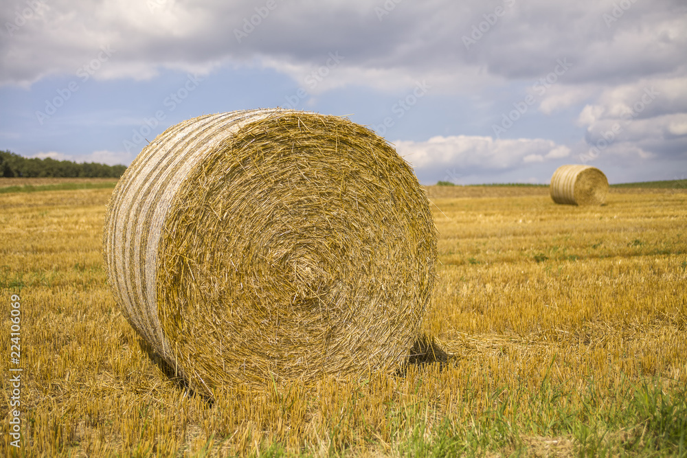 Hay in the field