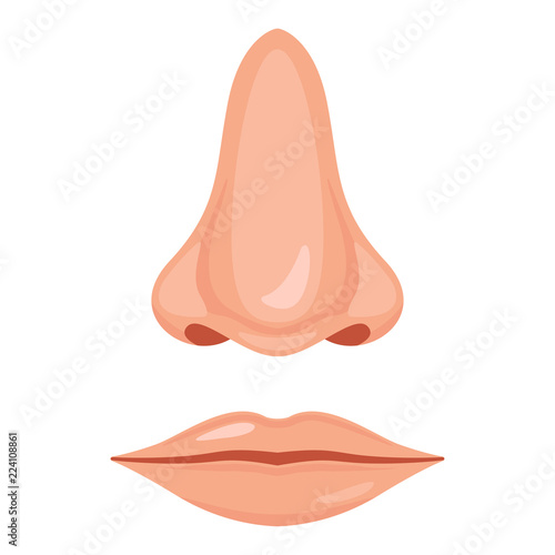Human nose and mouth