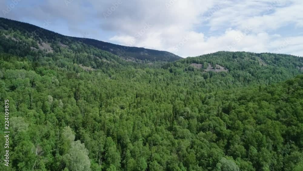 A view from above of wildlife. Panoramic view of the forest thicket in the summer. Panoramic aerial view. A view from above of wildlife. Panoramic view of the forest thicket in the summer. Panoramic aerial view.