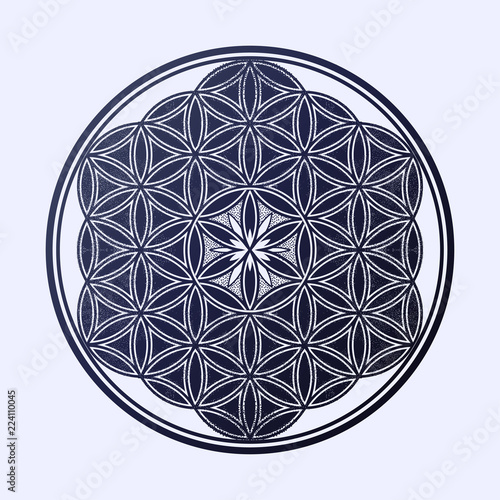 Flower of Life - intersecting circles forming.