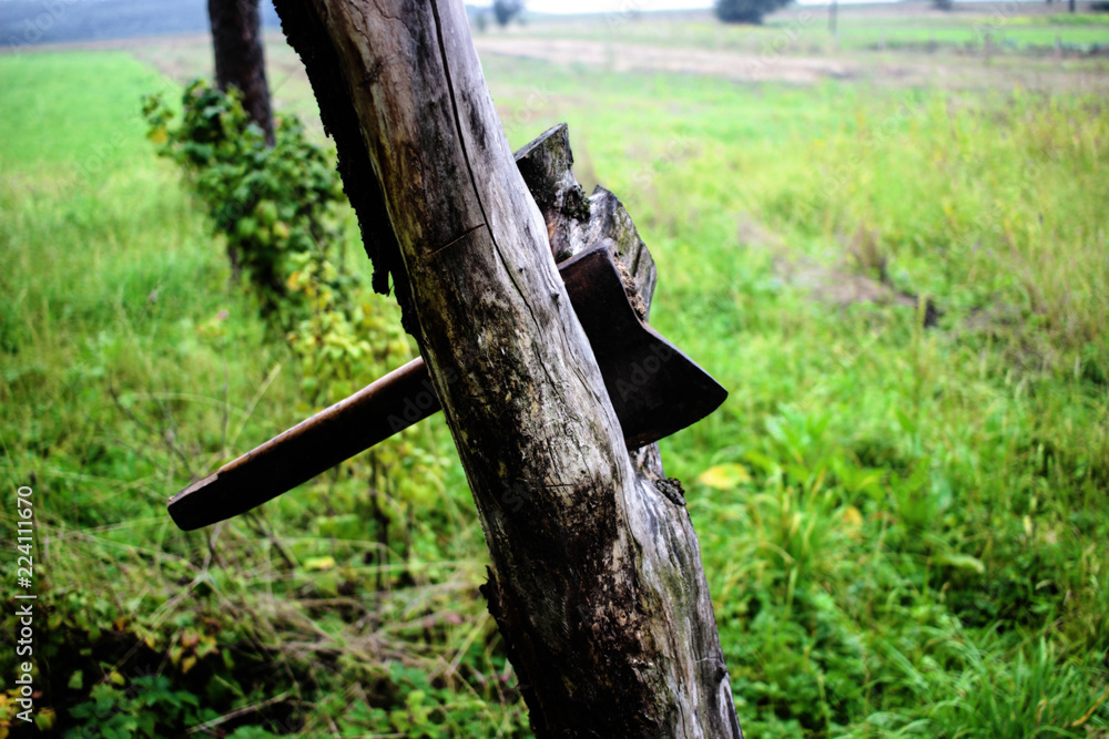 Axe in a tree close-up, lumberjack concept, scary steel axe stuck in tree in fog rural countryside, horror story concept Axe in a tree close-up, lumberjack concept, scary steel axe stuck in tree in fog rural countryside, horror story concept