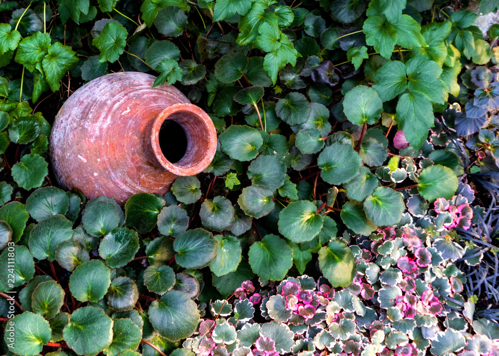 An ancient pitcher on the ground, in leaves of plants. Element of landscape design. An ancient pitcher on the ground, in leaves of plants. Element of landscape design.