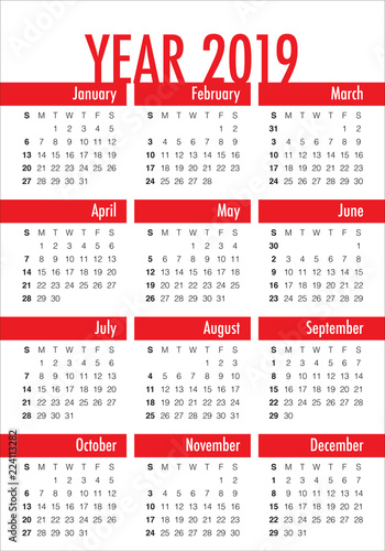Year 2019 calendar vector design template