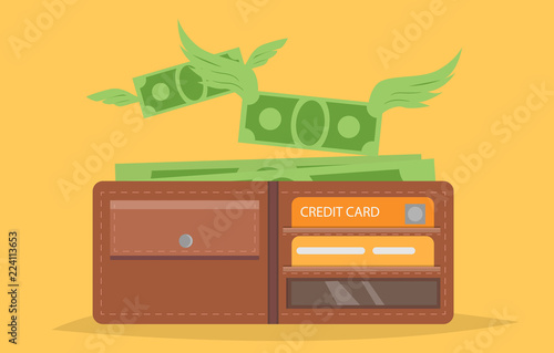 Empty wallet money flying