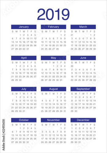 Year 2019 calendar vector design template