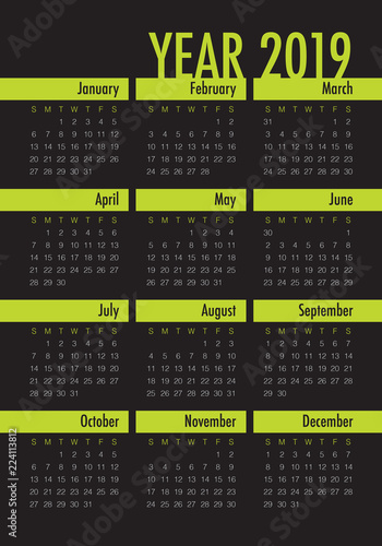 Year 2019 calendar vector design template