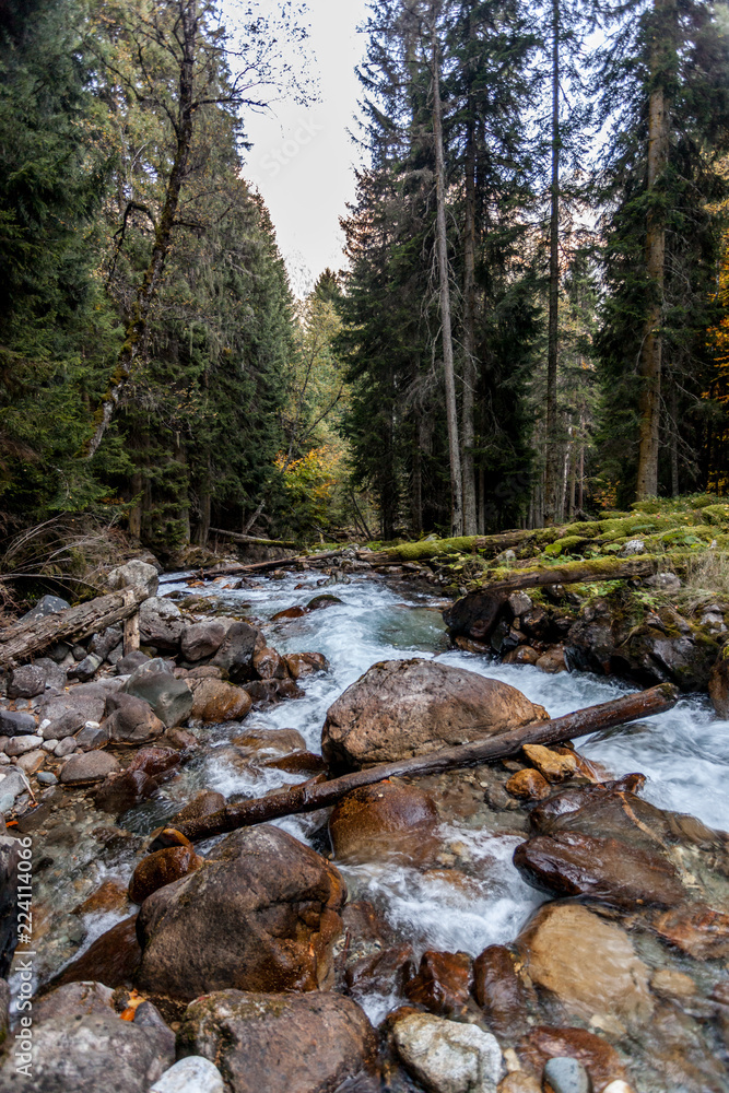 Mountain river. Bright yellow and red autumn in the mountains. Kavkaz. Dombay.