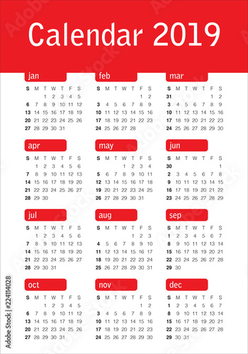 Year 2019 calendar vector design template