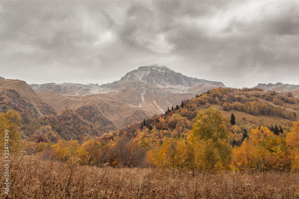 Bright yellow and red autumn in the mountains. Kavkaz. Dombay. Bright yellow and red autumn in the mountains. Kavkaz. Dombay.