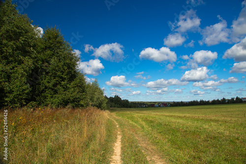 road with clouds in the field  space  nature of Russia