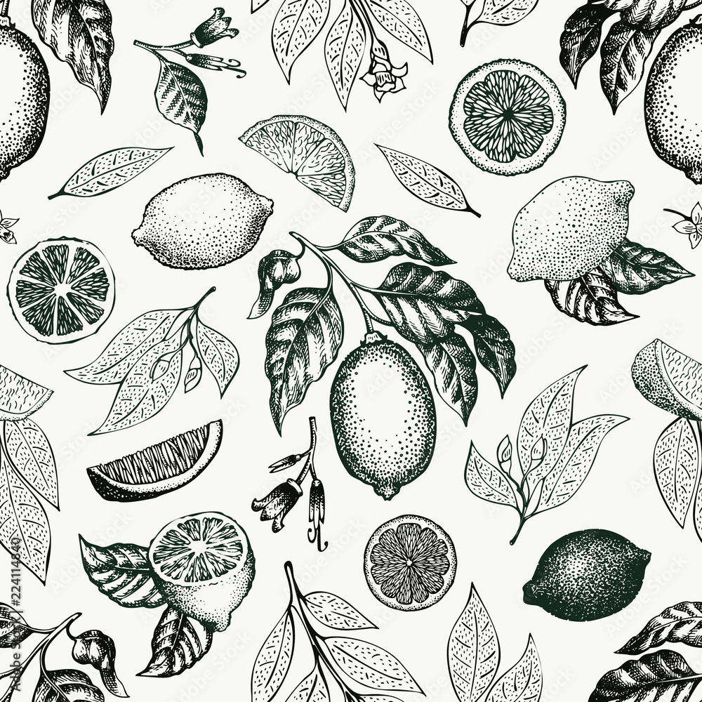Lemon tree seamless pattern. Hand drawn vector fruit illustration ...