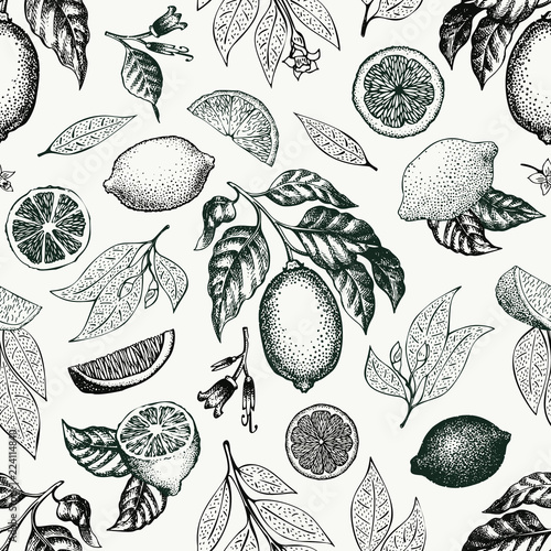 Lemon tree seamless pattern. Hand drawn vector fruit illustration. Engraved style. Vintage citrus background.