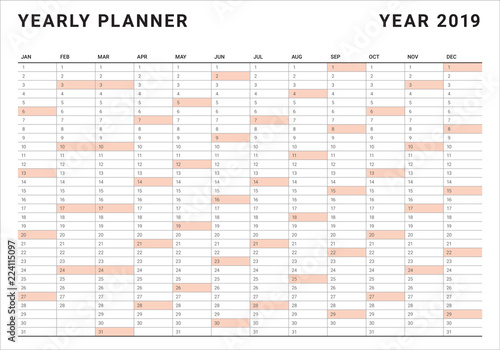 Year 2019 calendar vector design template