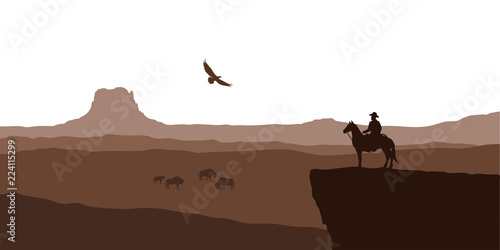 Silhouette of desert with cowboy on horse. Natural panorama of canyon with mountains. American landscape. Wildlife western scene