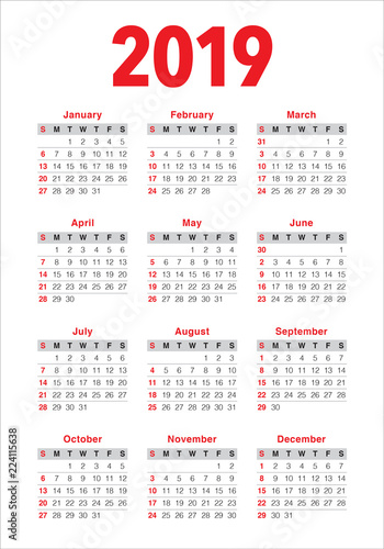 Year 2019 calendar vector design template