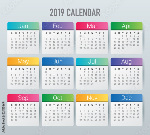 Year 2019 calendar vector design template