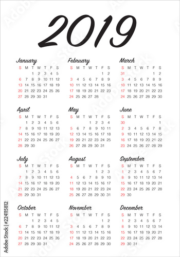 Year 2019 calendar vector design template