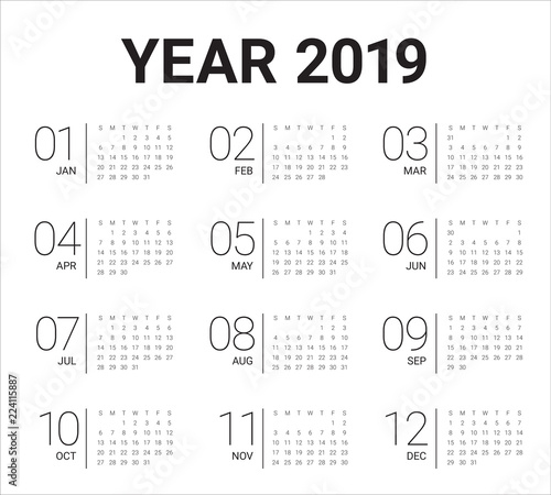 Year 2019 calendar vector design template