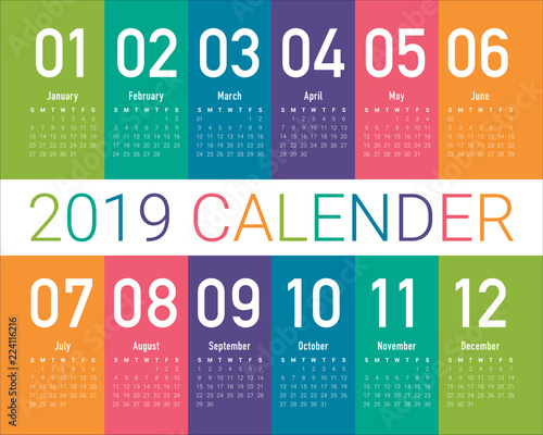 Year 2019 calendar vector design template