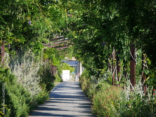 parc aux angéliques photo