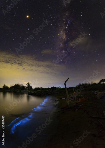 The milky way and blue plankton in the sea.