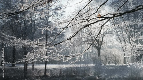 Wallpaper Mural Winter Scenery And Falling Snow Animation Torontodigital.ca