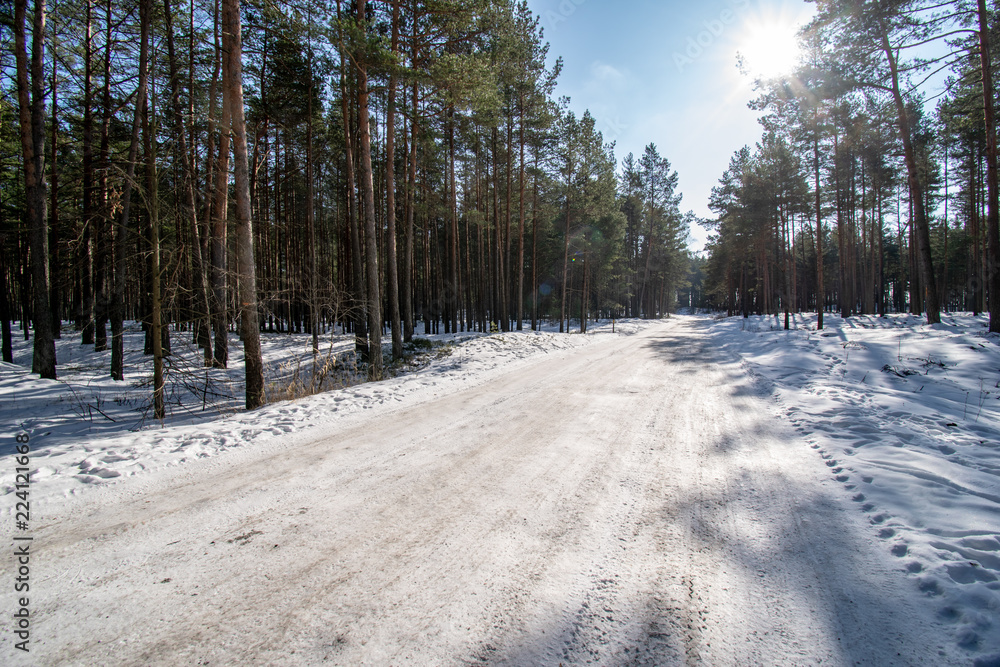 Fototapeta premium snowy winter countryside scene with snow and frozen trees