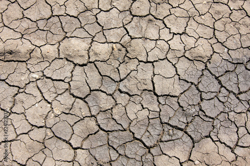 Dry soil cracked texture
