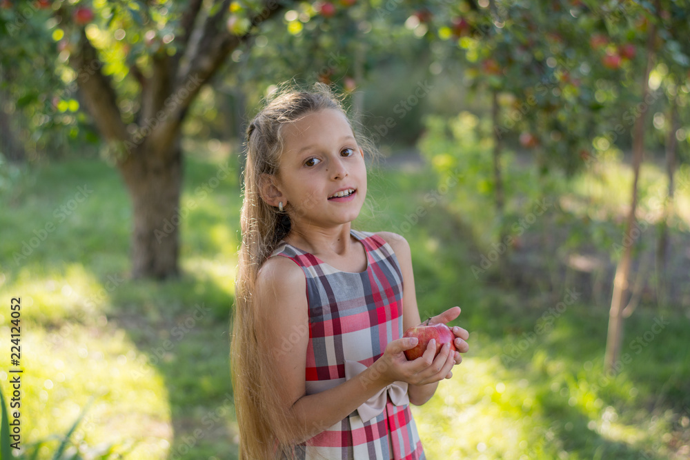 Beautiful girl in an apple orchard. A child tears apples from a tree. Picking apples. An apple in the hands of a girl Beautiful girl in an apple orchard. A child tears apples from a tree. Picking apples. An apple in the hands of a girl