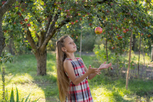Beautiful girl in an apple orchard. A child tears apples from a tree. Picking apples. The girl throws an apple