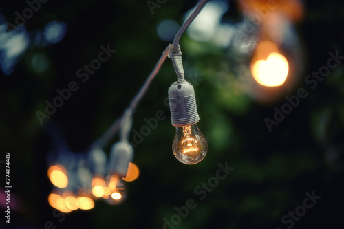 bulb lights decoration