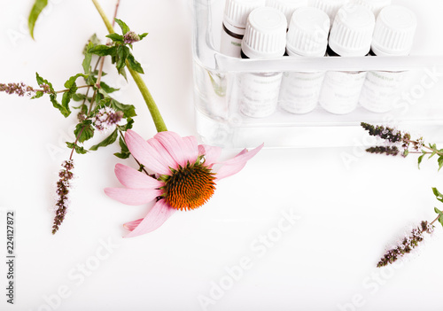 Homeopathy. A homeopathy concept with homeopathic medicine. Dried healing herbs, echinacea flower and bottles of homeopathic globules.