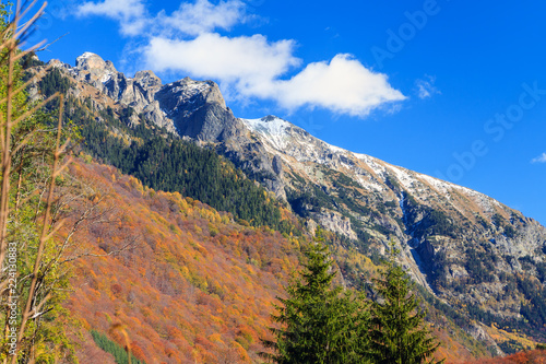 Beautiful landscape view of the autumn colors in the forest of the Rila Nature Park mountains in October in Bulgaria