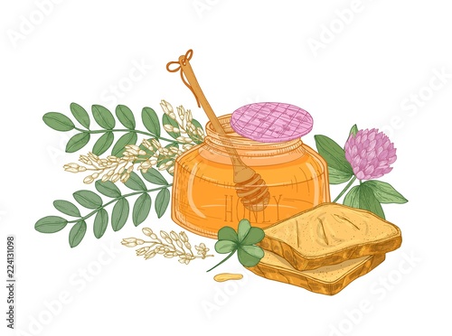 Drawing of dipper in glass jar of honey, pair of bread slices or toasts, clov...