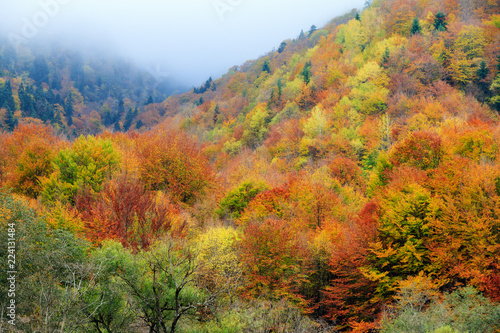 Beautiful landscape view of the mountains of the Rila Nature Park in Bulgaria with vibrant autumn colors in the forest