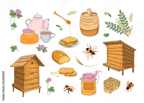 Collection of honey production, beekeeping or apiculture attributes - honeycomb, wooden beehives, dipper, bees, barrel hand drawn in vintage style on white background. Colorful vector illustration.