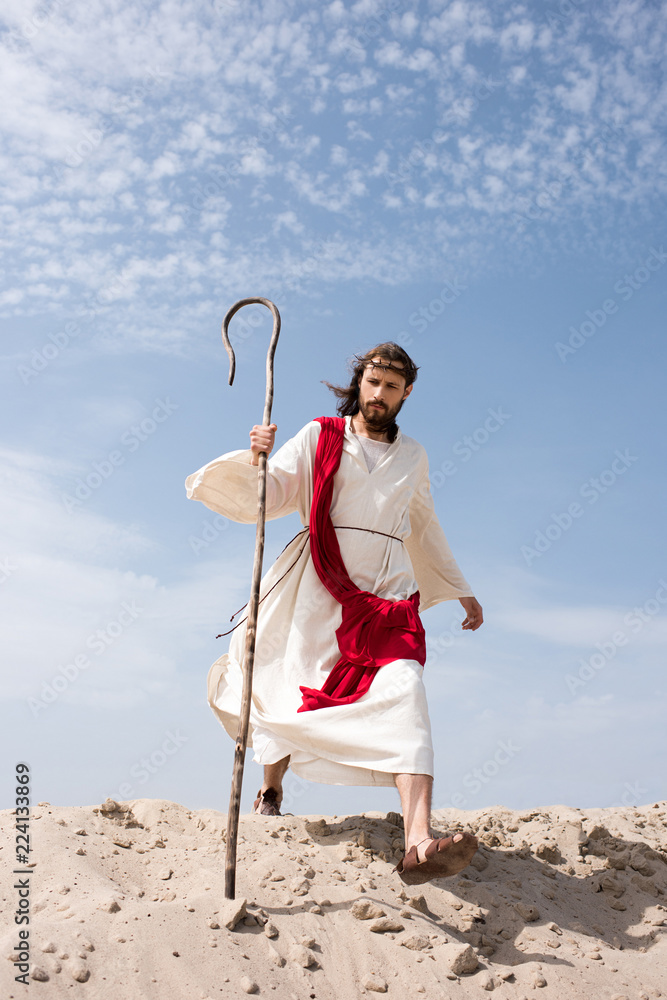 Jesus In Robe And Crown Jesus in robe, red sash and crown of thorns walking in desert with ...